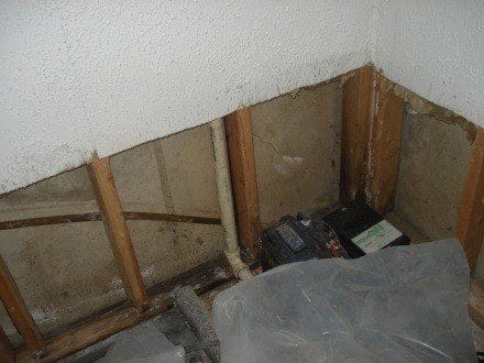 mold treatment before and after