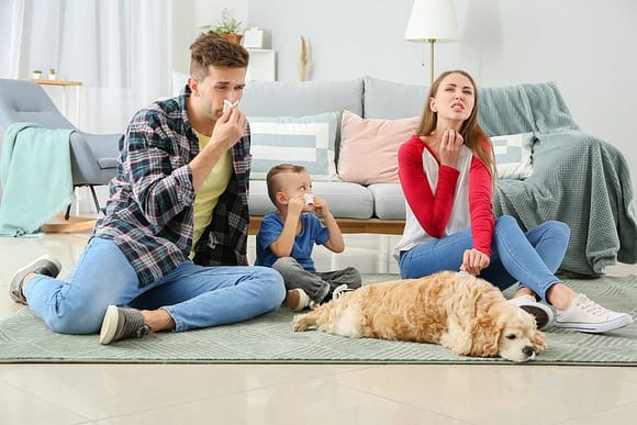 Mold, Asbestos & Indoor Air Quality Testing